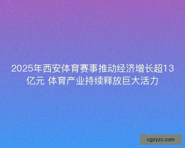 2025年西安体育赛事推动经济增长超13亿元 体育产业持续释放巨大活力